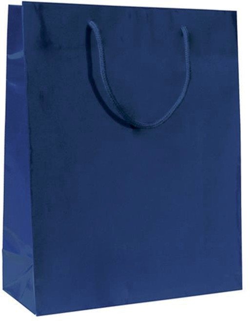carta patinata bianca stampa blu plastificazione lucida, maniglia in cotone blu